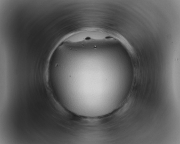 X0000093231244200710101358