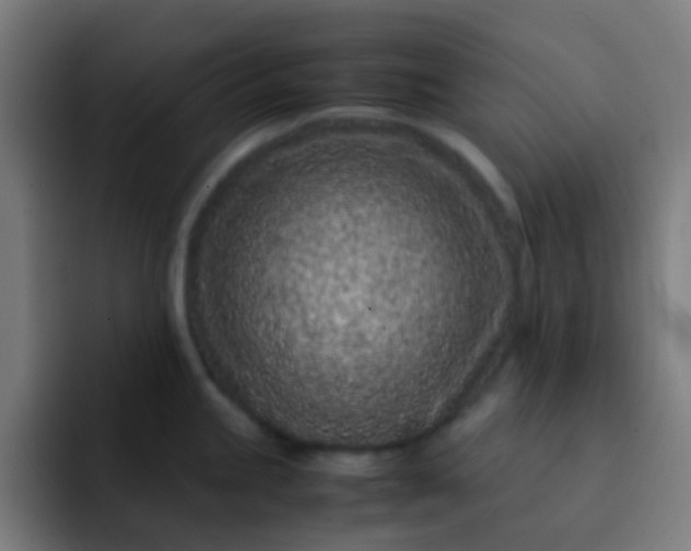 X0000093231245200710101358