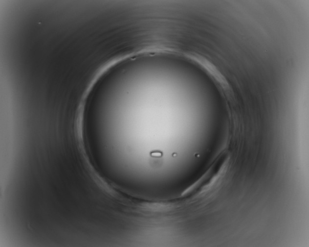 X0000093231246200710101358