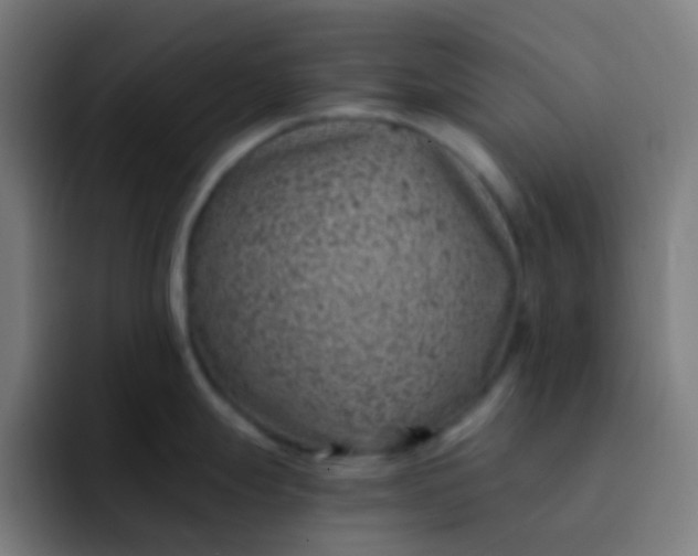 X0000093231247200710101358