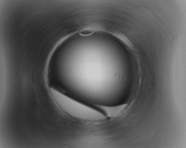 X0000093231248200710101358