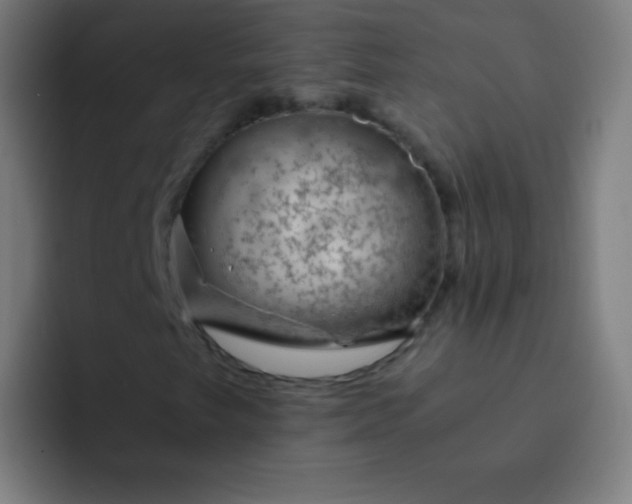 X0000093231249200710101357