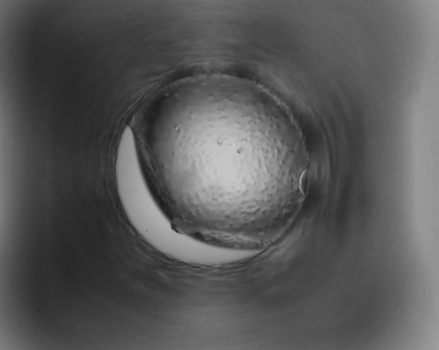 X0000093231251200710101357