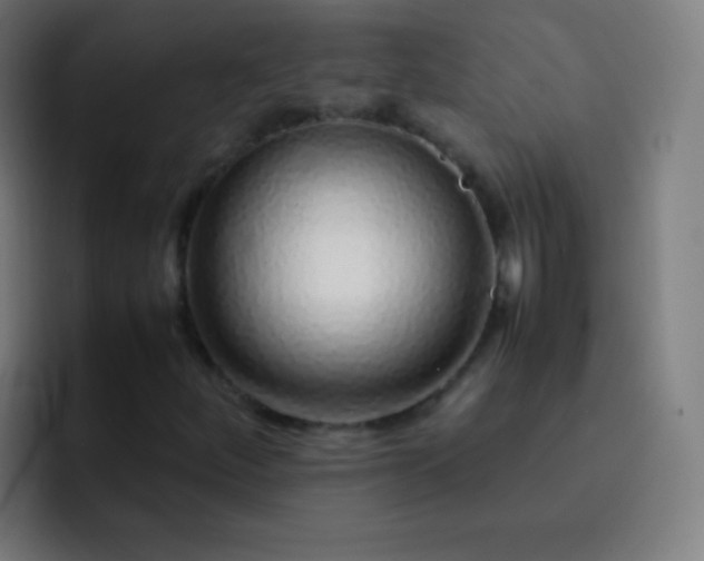 X0000093231252200710101357