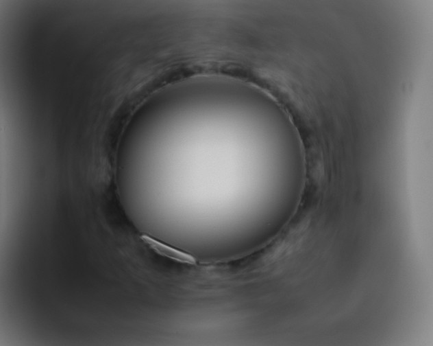 X0000093231253200710101357