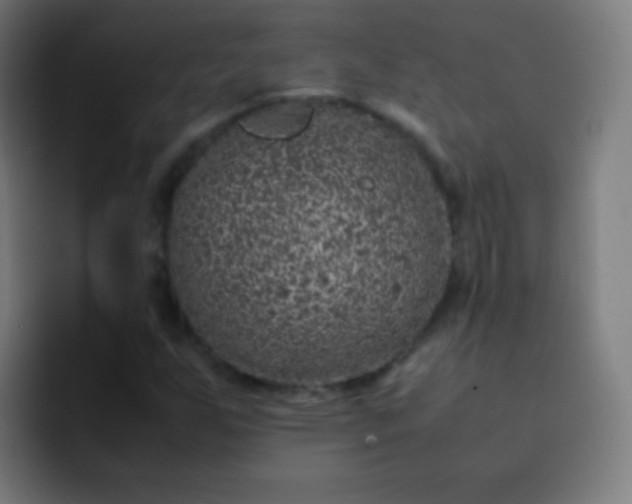 X0000093231255200710101357