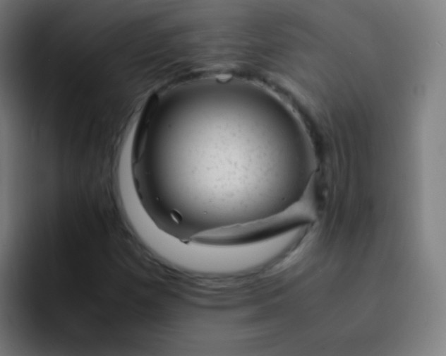 X0000093231257200710101357