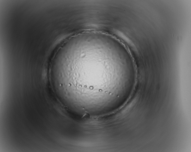 X0000093231259200710101357