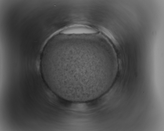 X0000093231260200710101357