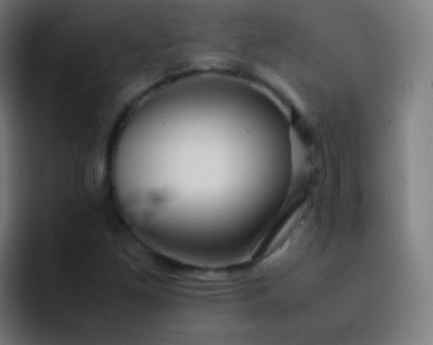 X0000093231261200710101357