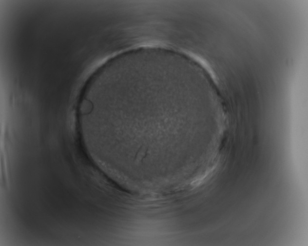 X0000093231263200710101357