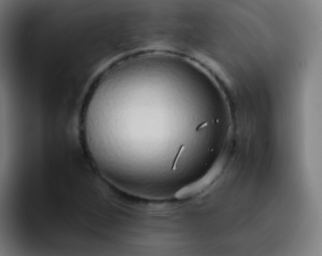 X0000093231264200710101357