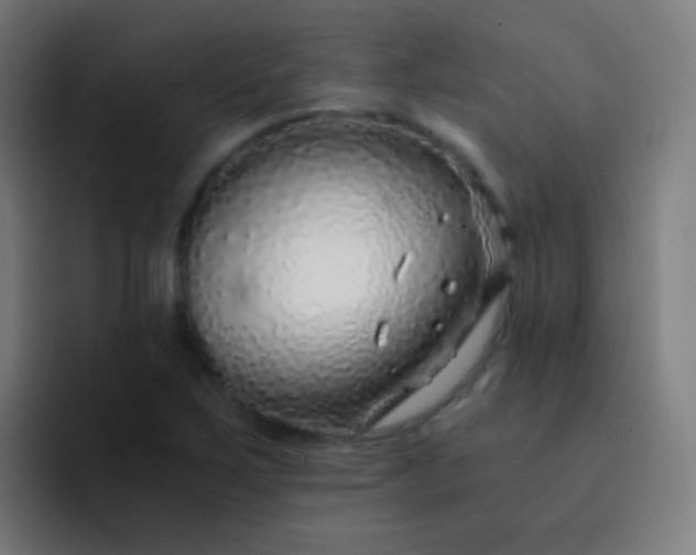 X0000093231267200710101357