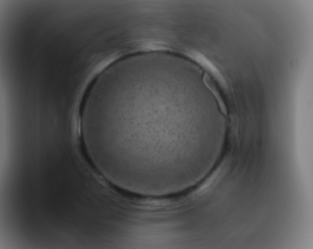 X0000093231269200710101357