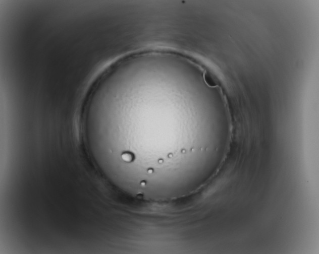 X0000093231271200710101357