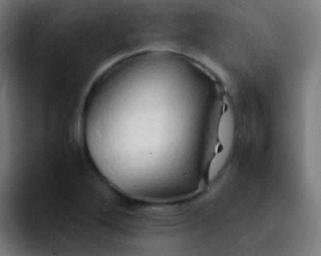 X0000093231272200710101357