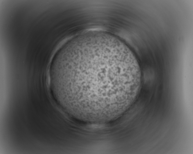 X0000093231274200710101357