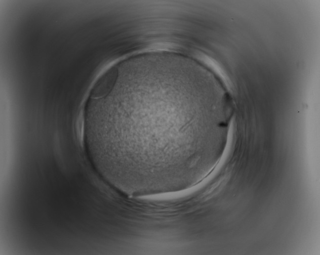 X0000093231275200710101357