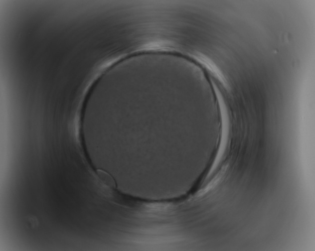 X0000093231277200710101357