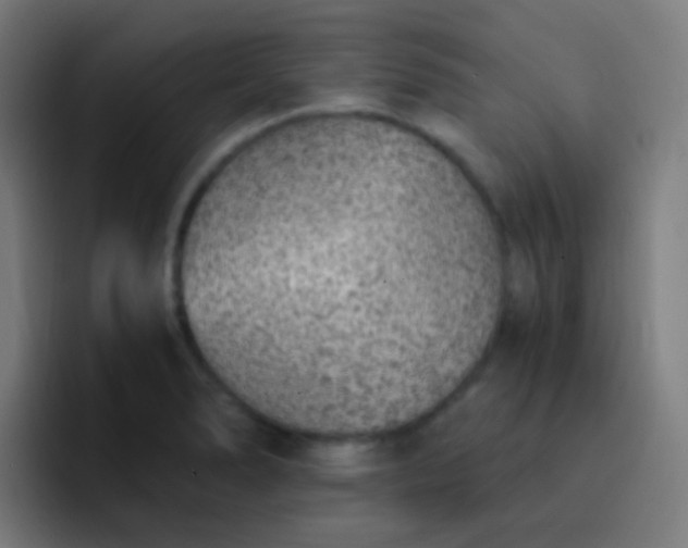 X0000093231278200710101357