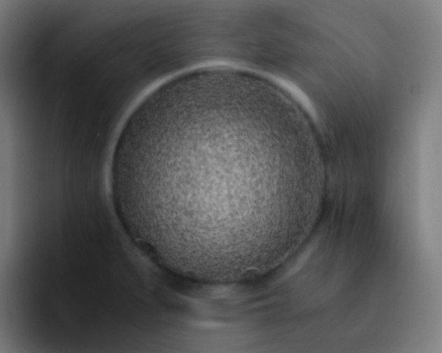 X0000093231279200710101357