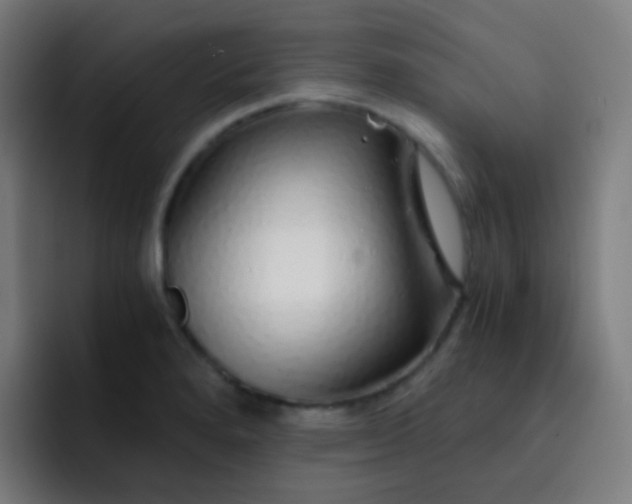 X0000093231280200710101357