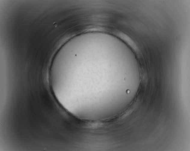 X0000093231282200710101357