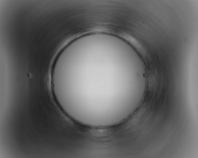 X0000093231286200710101357