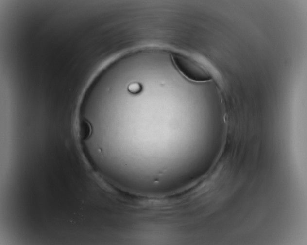 X0000093231287200710101357