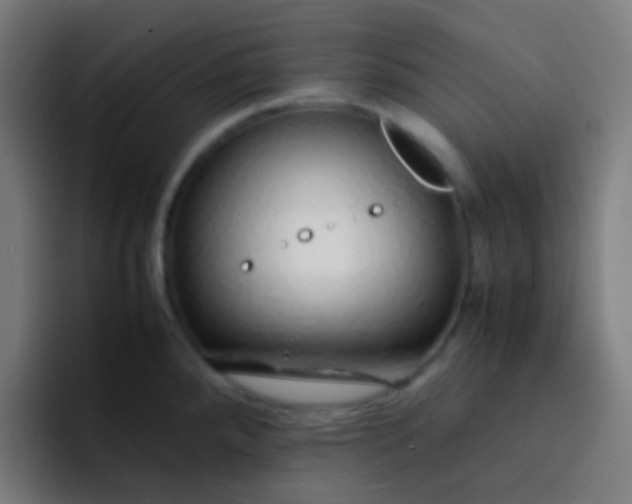 X0000093231288200710101357