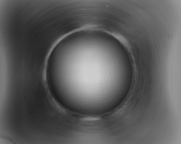 X0000093231296200710101357