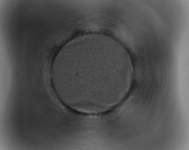 X0000093231297200710101356