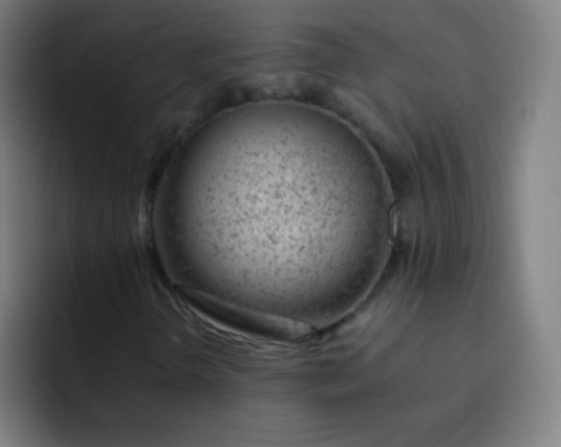 X0000093231298200710101356