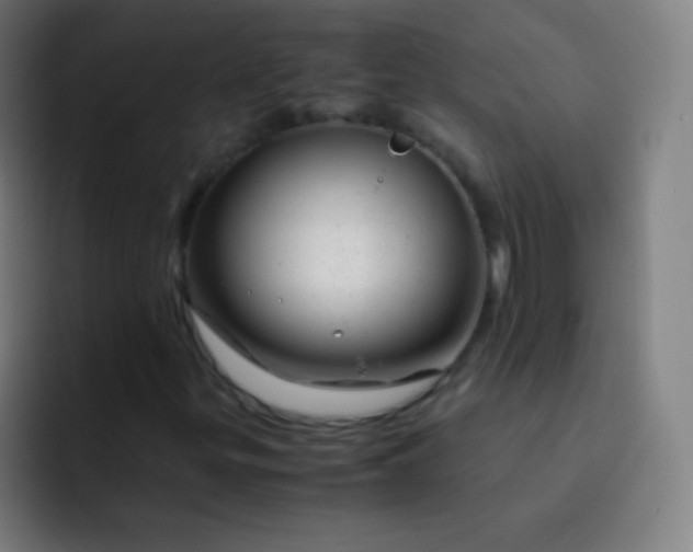 X0000093231299200710101356