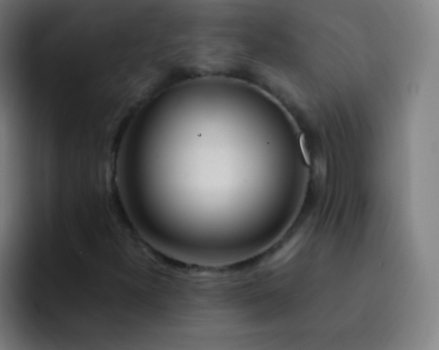 X0000093231300200710101356