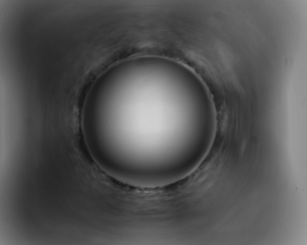 X0000093231301200710101356