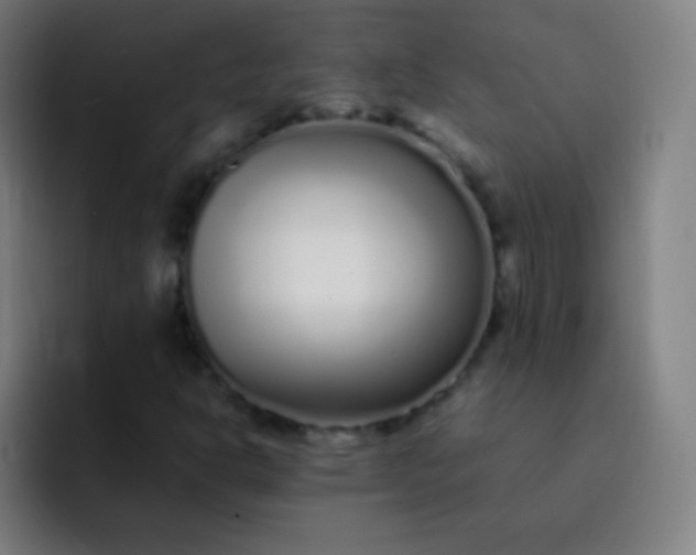 X0000093231302200710101356