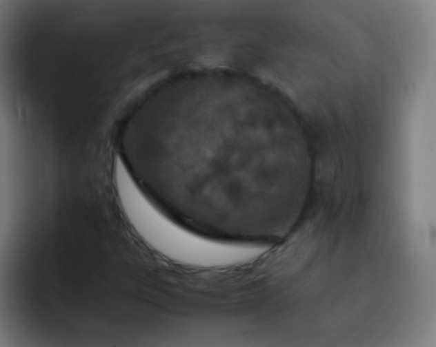 X0000093231303200710101356