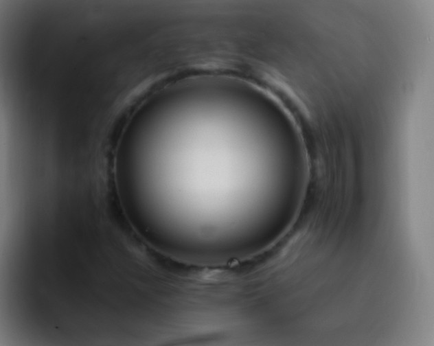 X0000093231304200710101356