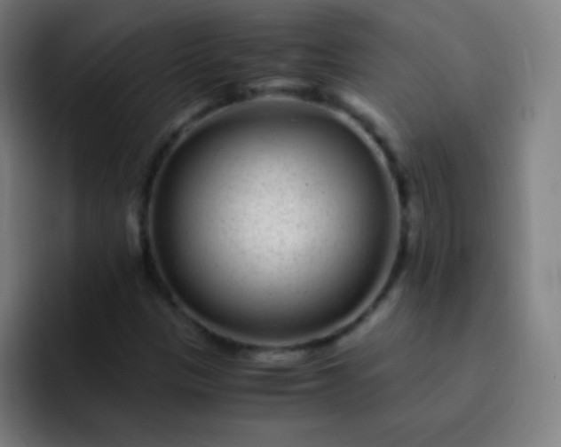 X0000093231305200710101356