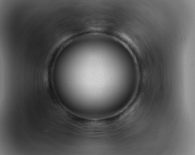 X0000093231307200710101356