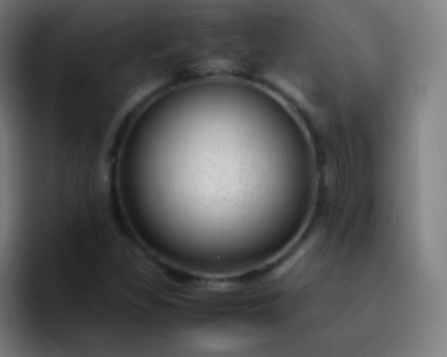 X0000093231309200710101356