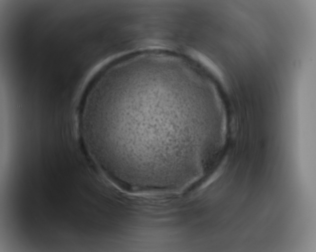 X0000093231310200710101356