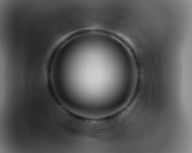 X0000093231311200710101356