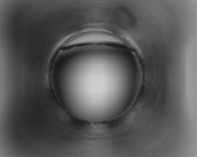 X0000093231312200710101356