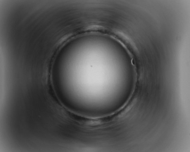 X0000093231313200710101356