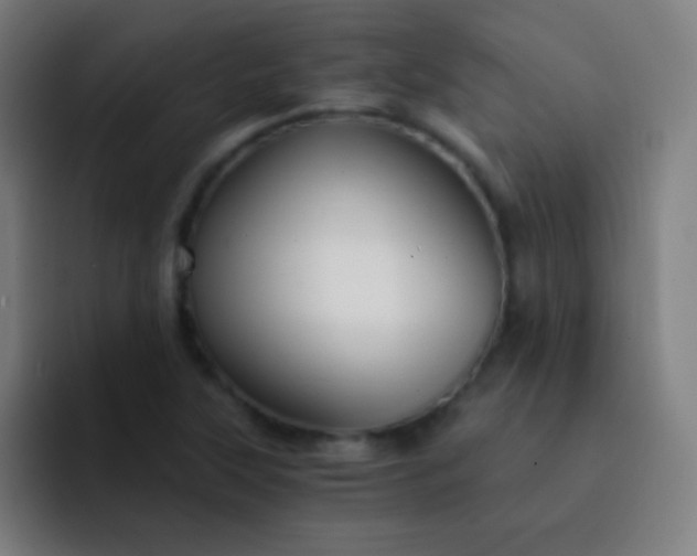 X0000093231315200710101356