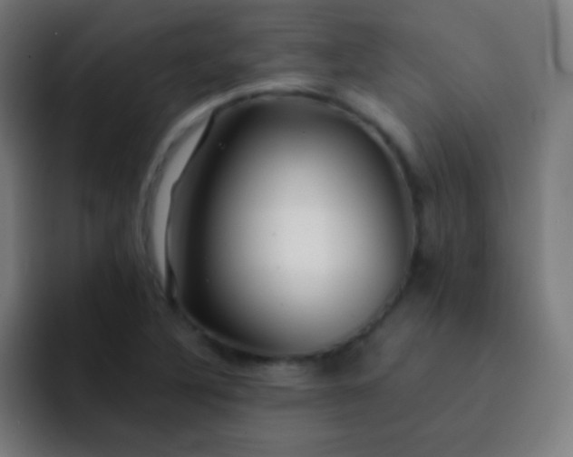 X0000093231316200710101356