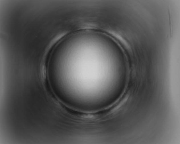 X0000093231317200710101356