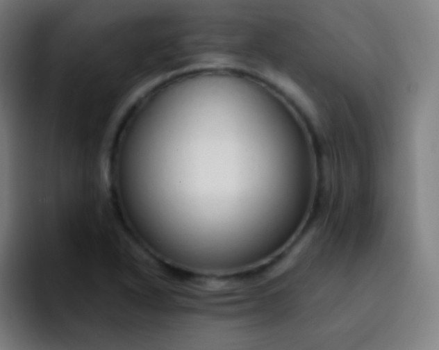 X0000093231318200710101356